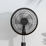 Original Cocoon Fan